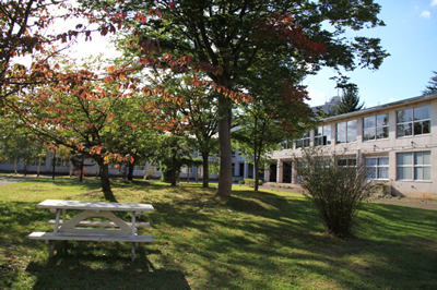 青森大学脳と健康科学研究センター