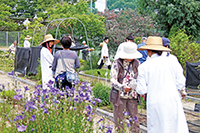 薬用植物園写真