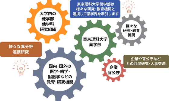 最先端の高度医療教育による臨床薬剤師育成プログラム