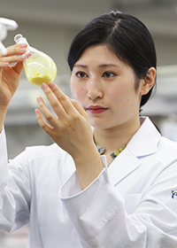 横浜薬科大学 薬学部 漢方薬学科 6年 小圷 愛